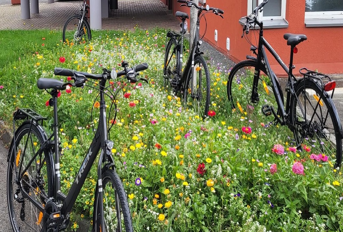 4 vélos en prêt à disposition des résidents