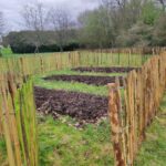 Création d'un potager commun.