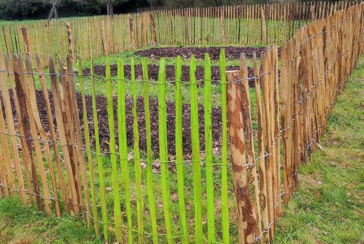 Création d’un potager partagé pour des récoltes avant l’été !