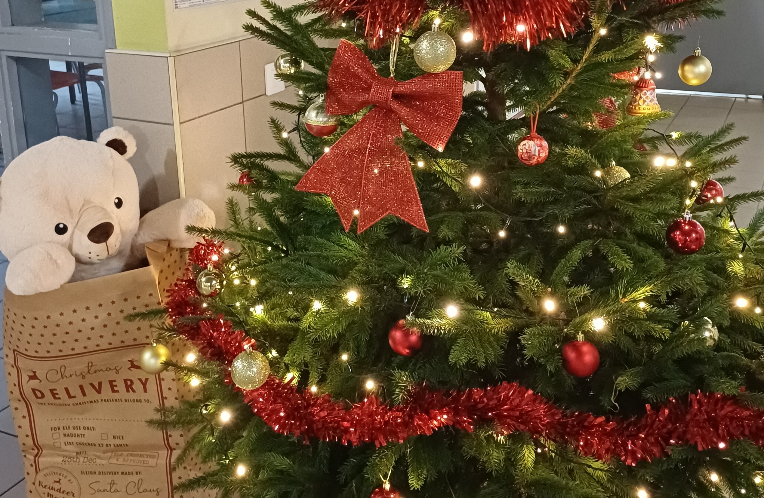 La Rez revêt ses habits de lumière pour les fêtes de fin d’année